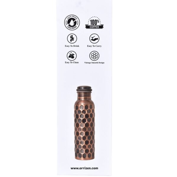 Copper Black Antique Aqua Aura Water Bottle
